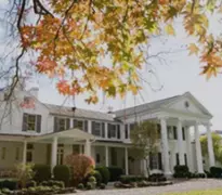 Theni Ads in category