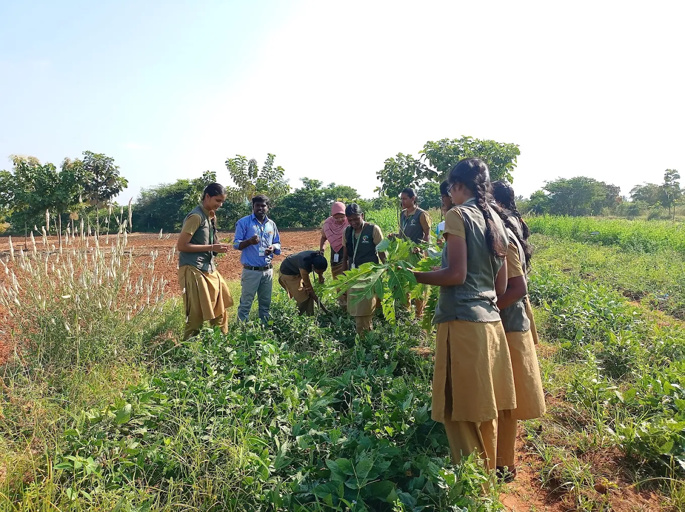 College Of Agricultural Technology in Theni - Theni Ads